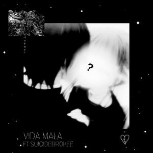 Vida Mala(feat. Xarmmm & suicidebrokee)