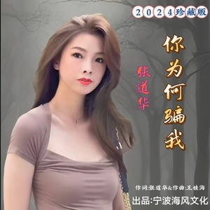 你为何骗我 (女版伴奏)