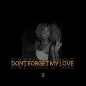 Don't Forget My Love