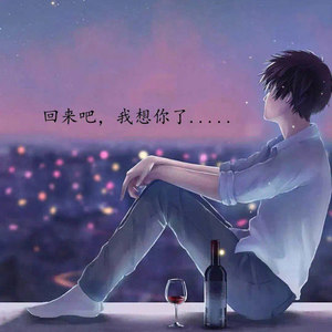 情感的禁区封面