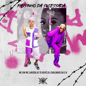 PASSINHO DA SUCESSADA (Explicit)