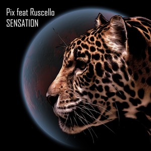Sensation (Original Mix)