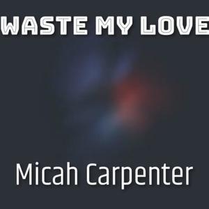 Waste My Love