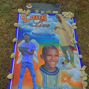 Long Live Nell (LLN) (feat. TalkToEm Zelly) (Explicit)