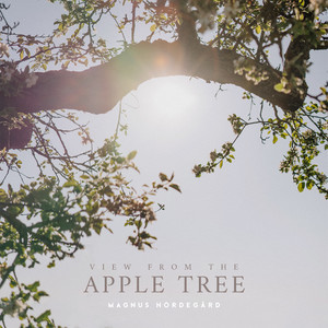 Improvisation In E Minor