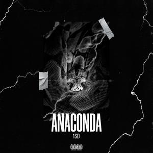 Anaconda (Explicit)