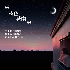 夜色城南 (DJ版)