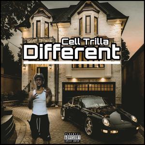 Different (feat. Cell Trilla) [Explicit]