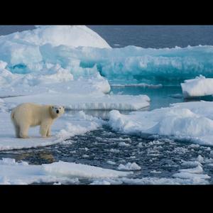 Demanding (feat. Mylo Meez & Turt) (Explicit)