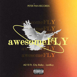 awesomeFLY (feat. CityBaby & LonBoy) [Explicit]