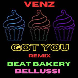 Got You (Venz Remix)