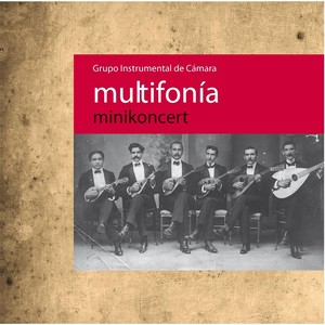 Koncert en B menor fur Mandoline(Allegreto Giocoso)