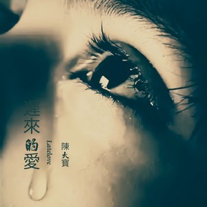 迟来的爱