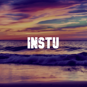 Instu