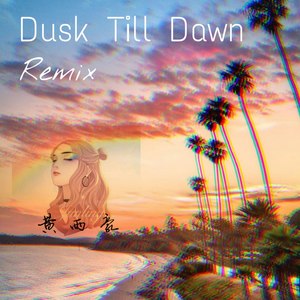 Dusk Till Dawn (Remix)