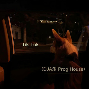 Tik Tok (DJ版)