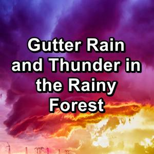 Heavy Rain and Thunder For Yoga and Meditiation Noise for Trouble Sleeping