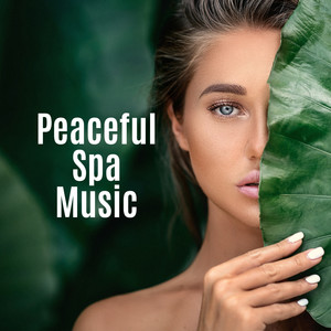 Spa & Wellness Oasis