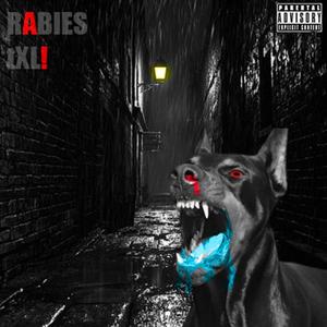 RABIES (Explicit)