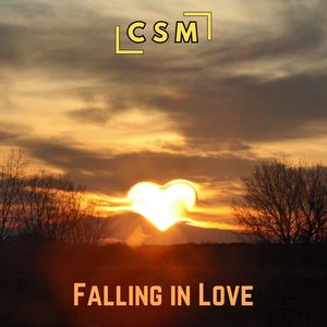 Falling in Love