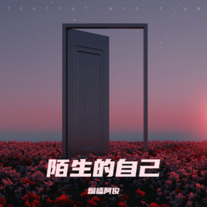披着羊皮的狼封面