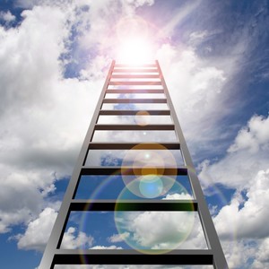 The Ladder