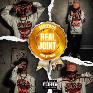 Real Joint (Explicit)