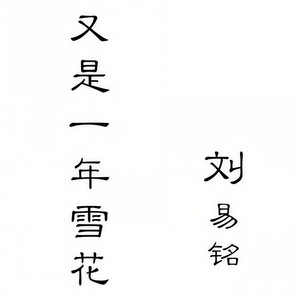 又是一年雪花
