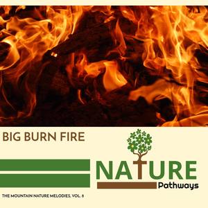 Big Burn Fire - The Mountain Nature Melodies, Vol. 8