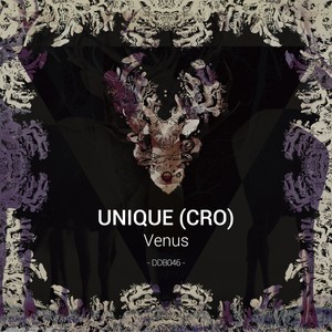 I'm Your Passenger (Original Mix)