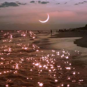 爱的华尔兹 (Single Version)