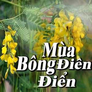 Mùa Bông Điên Điển