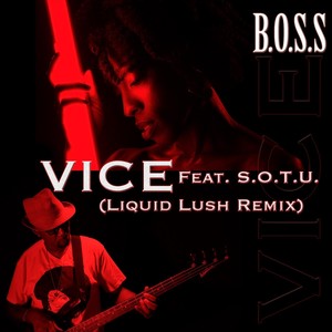 Vice [feat. S.O.T.U.] (Liquid Lush Remix)