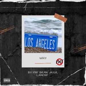 Why (feat. Jay2k & Lamont) (Explicit)