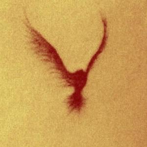 Penthouse (feat. sh4wnskii) (Explicit)