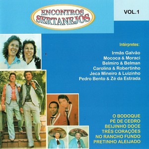 Homenagem a Mato Grosso