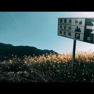 失 之 城