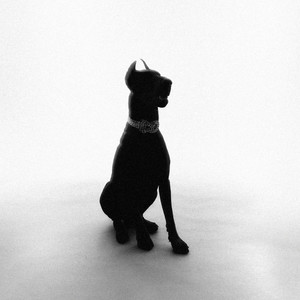 The Voicemail (Explicit)