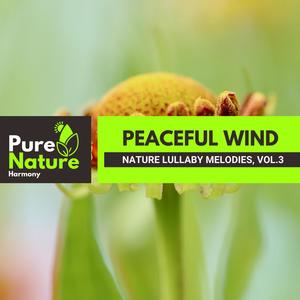 Peaceful Wind - Nature Lullaby Melodies, Vol.3