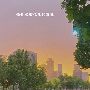 怕什么回忆里的寂寞