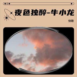 夜色独醉-牛小龙