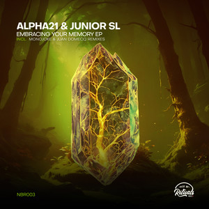 Pulse of Destiny (Monojoke Afro Mix)