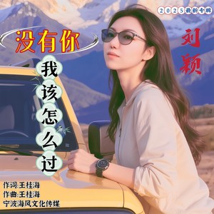 没有你我该怎么过 (伴奏)