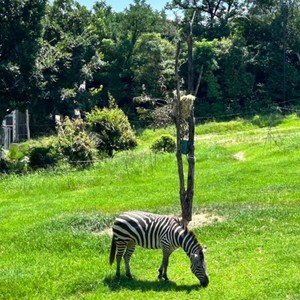君の街まで