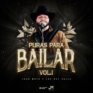 20 Novias / Roberto Ruiz