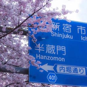 next2u (feat. lephina)