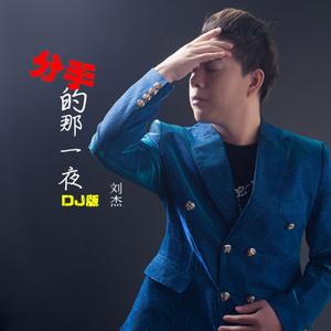 分手的那一夜 (DJ版)