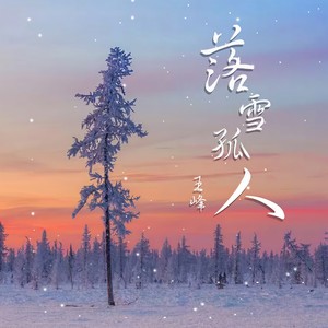 王峰 - 落雪孤人