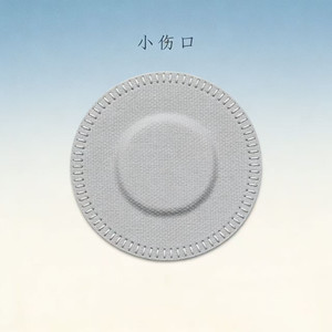 小伤口（节奏R&B)封面