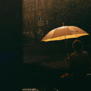 不二 - 白颊黑雁